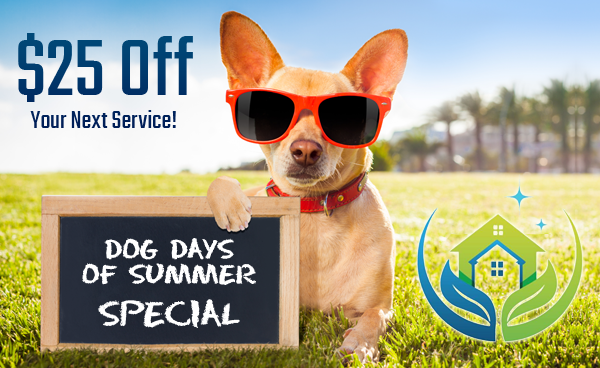 $25 Off Next Service - Dog Days Of Summer Sale